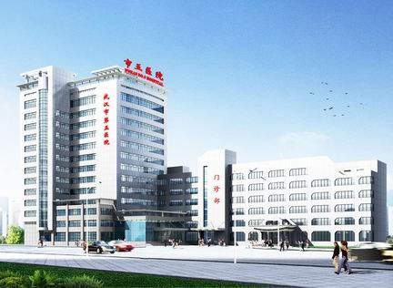 第五醫(yī)院輕質(zhì)墻板工程_輕質(zhì)材料_輕質(zhì)墻體材料_隔音防火墻板-湖北博悅佳實(shí)業(yè)有限公司